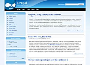 drupal-theme-pixture-.jpg